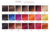 Beaudiva Brazilian Weave (3 Straight Bundles)